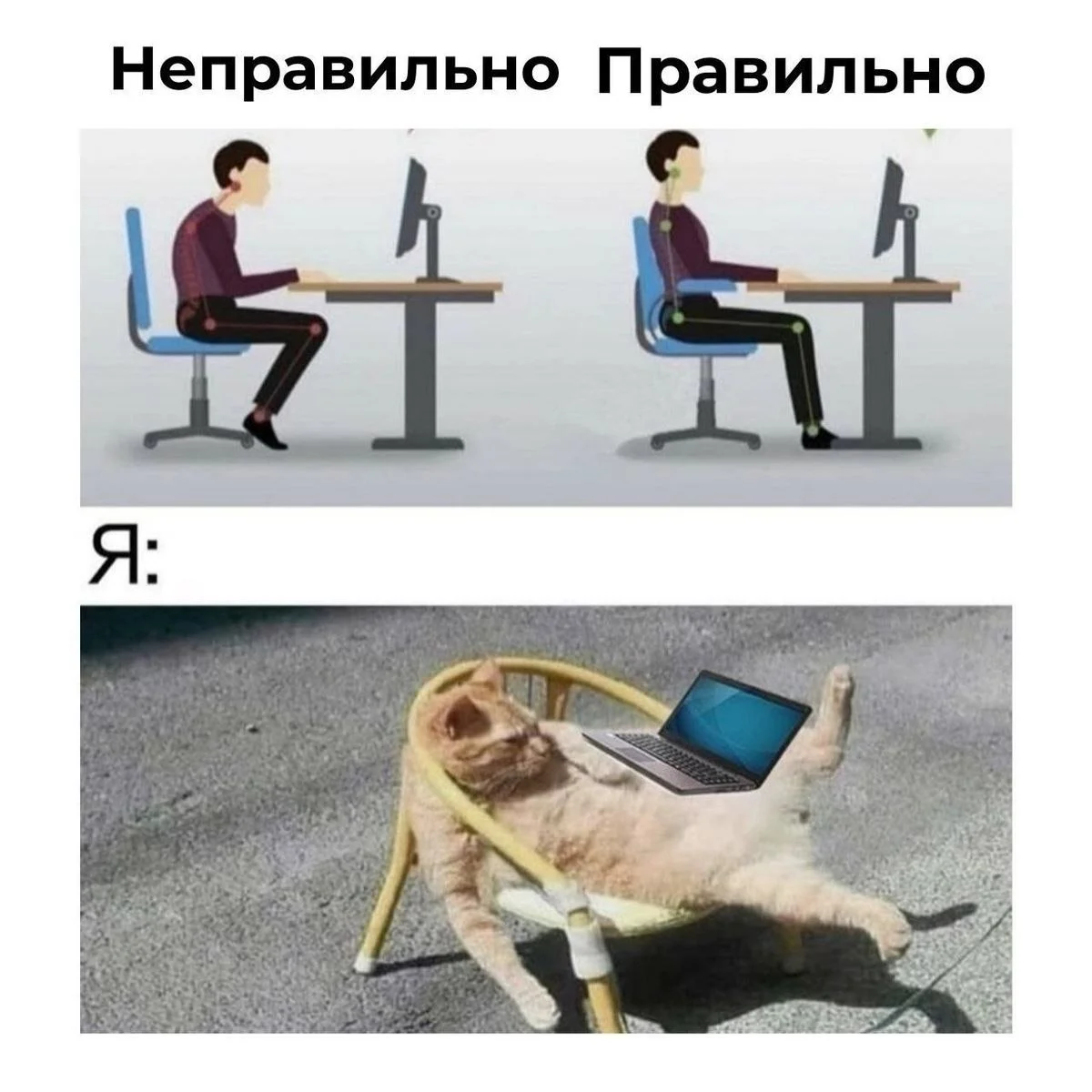 Юмор выходного дня 😂