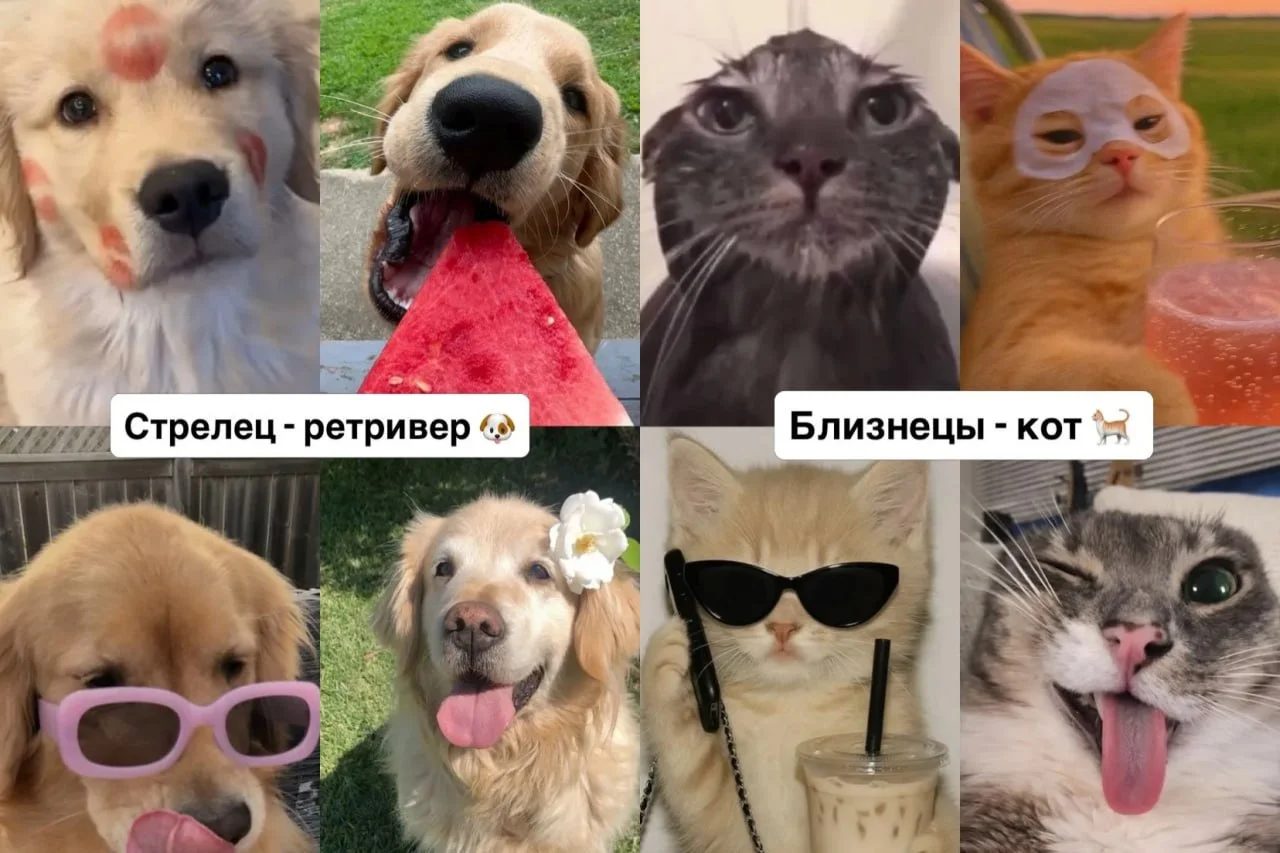 Что-то интересное....