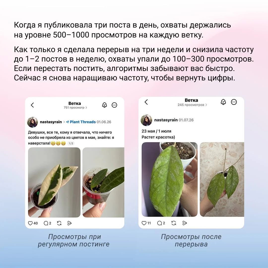 Как бесплатно получать лидов, коллабы и деньги с Тредсов
