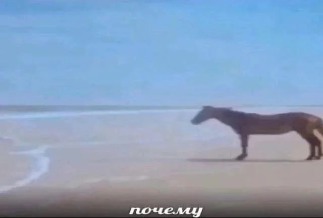 Что-то интересное....