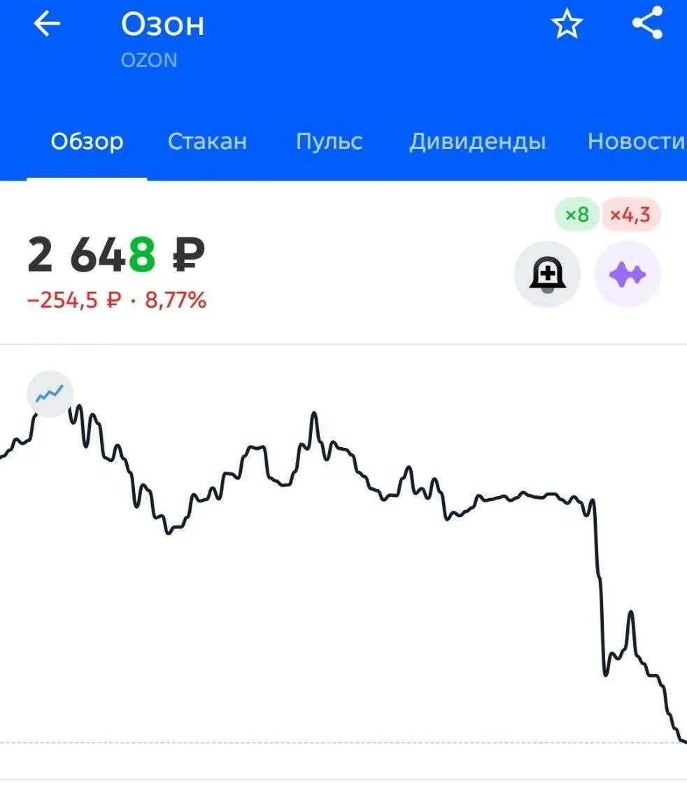 Акции Озона упали на 9% на фоне атак их прямого конкурента