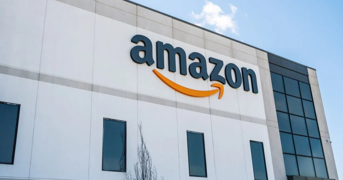 BAGSMART Puffy Tote Bag — «пухлая» сумка стала №1 бестселлером в своей категории на Amazon