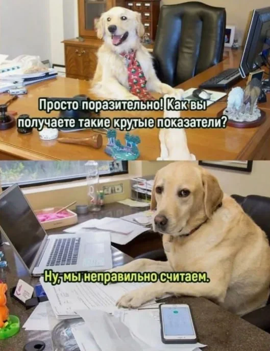 доклад еще одной медицинской компании