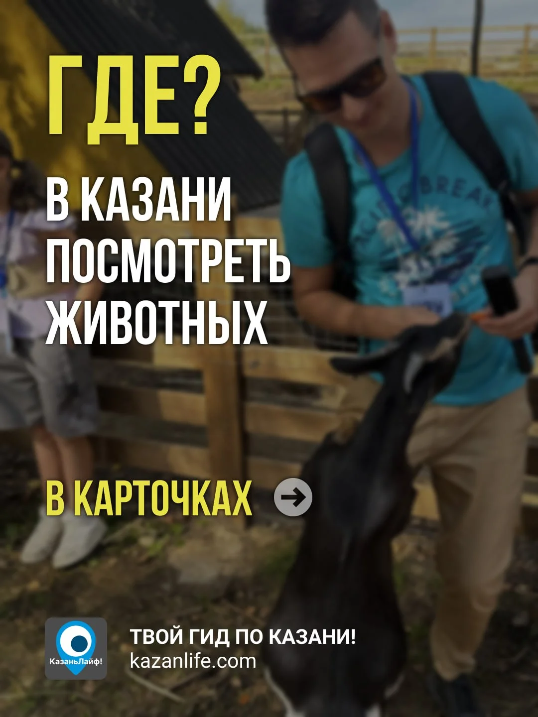 Зоо-тур по Казани: 8 мест, где братья наши меньшие ждут именно тебя 🐾