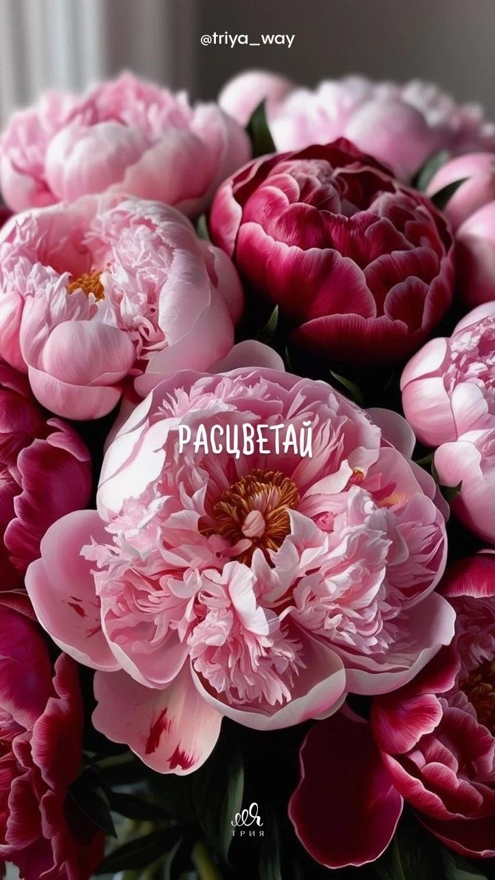 Заставки с весенними цветами🌸