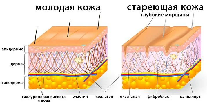 Что-то интересное....