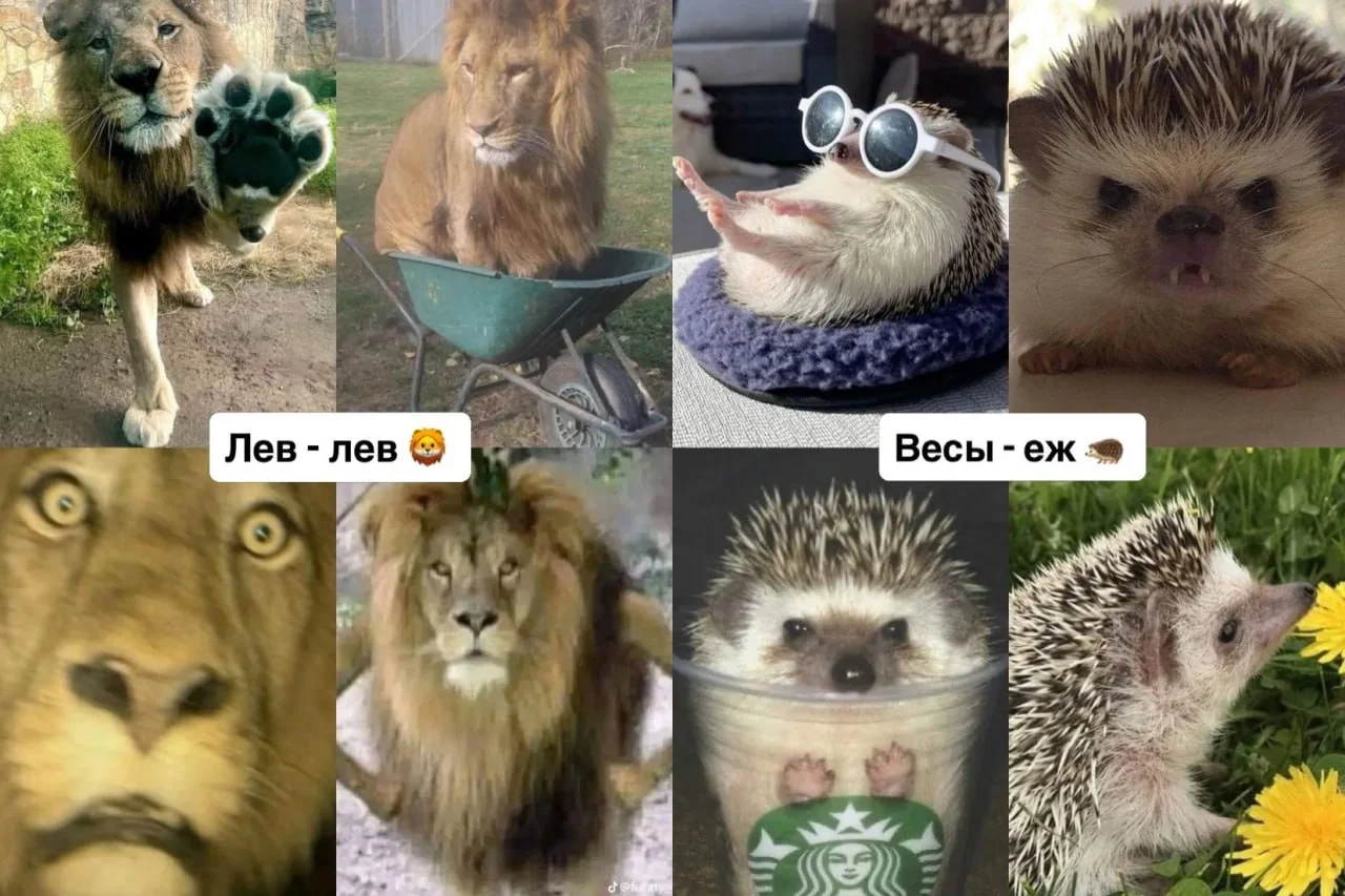 Что-то интересное....