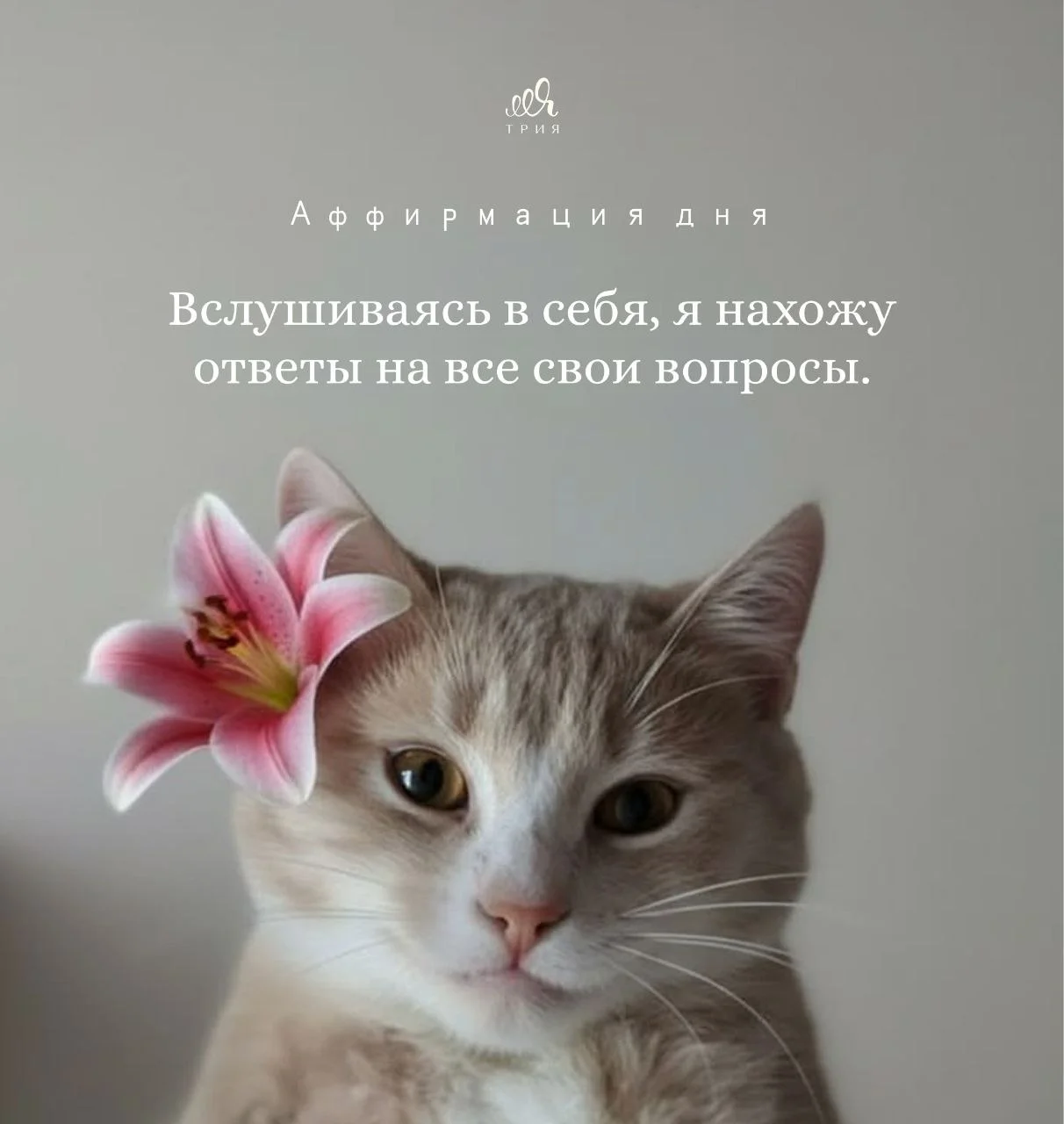 Доброе утро 🌸  В эфире рубрика #аффирмациядня  Сделайте себе подарок — проделейте упражнение ниже