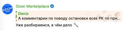 У Ozon сегодня проблемы не только с выплатами, но и с рекламой